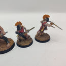 Warhammer Age of Sigmar Warcry Splintered Fang Warband BA098