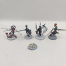 Warhammer Age of Sigmar Warcry Splintered Fang Warband BA098