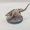 Necromunda Outland Wasteland Giant Rats x2- Painted AW200