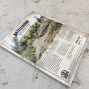 Battlegroup Overlord Beyond the Beaches Supplement - Plastic Soldier BD325