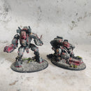 Warhammer 40k T'au Empire Army - Painted AB249