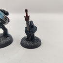 Warhammer Horus Heresy Dark Angels Consul with Watcher AA007