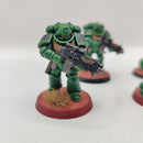 Warhammer 40k Salamanders Intercessor Squad - Painted AL019