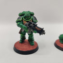 Warhammer 40k Salamanders Intercessor Squad - Painted AL019