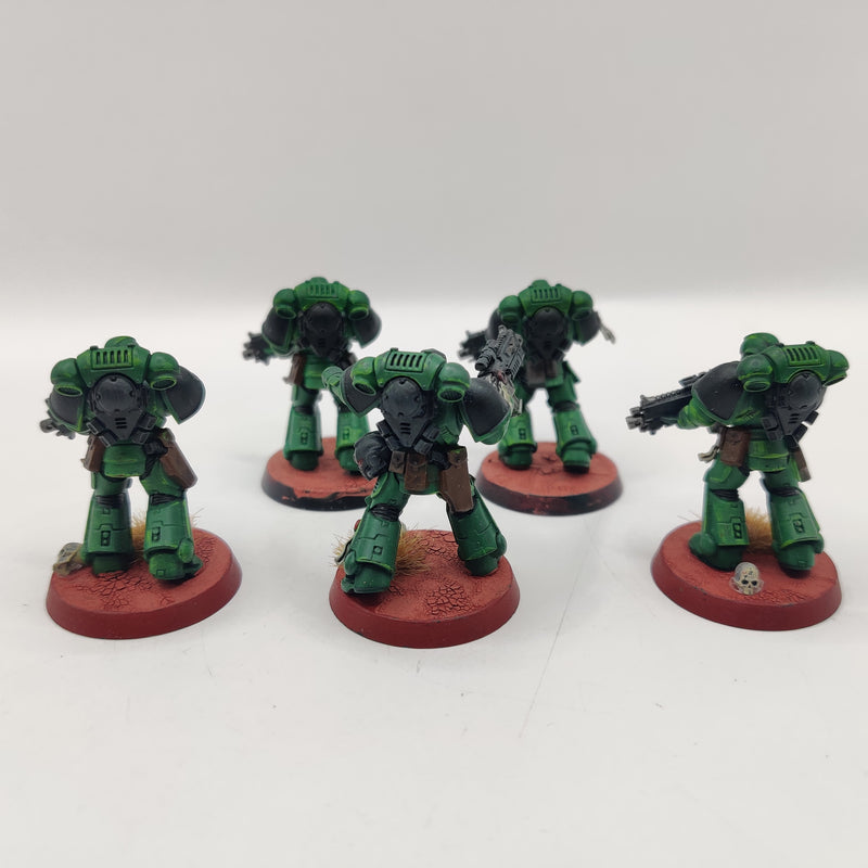 Warhammer 40k Salamanders Intercessor Squad - Painted AL019