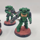 Warhammer 40k Salamanders Intercessor Squad - Painted AW067