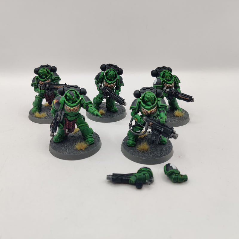 Warhammer 40k Salamanders Heavy Intercessors - Well Painted AO026