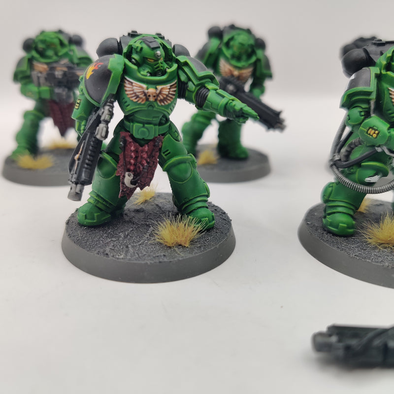 Warhammer 40k Salamanders Heavy Intercessors - Well Painted AO026
