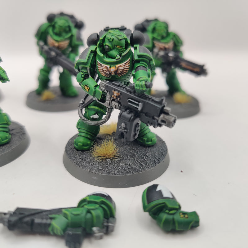 Warhammer 40k Salamanders Heavy Intercessors - Well Painted AO026