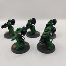 Warhammer 40k Salamanders Heavy Intercessors - Well Painted AO026
