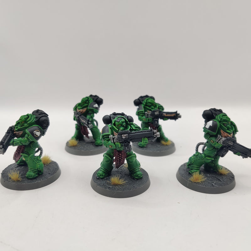Warhammer 40k Salamanders Heavy Intercessors - Well Painted AE127