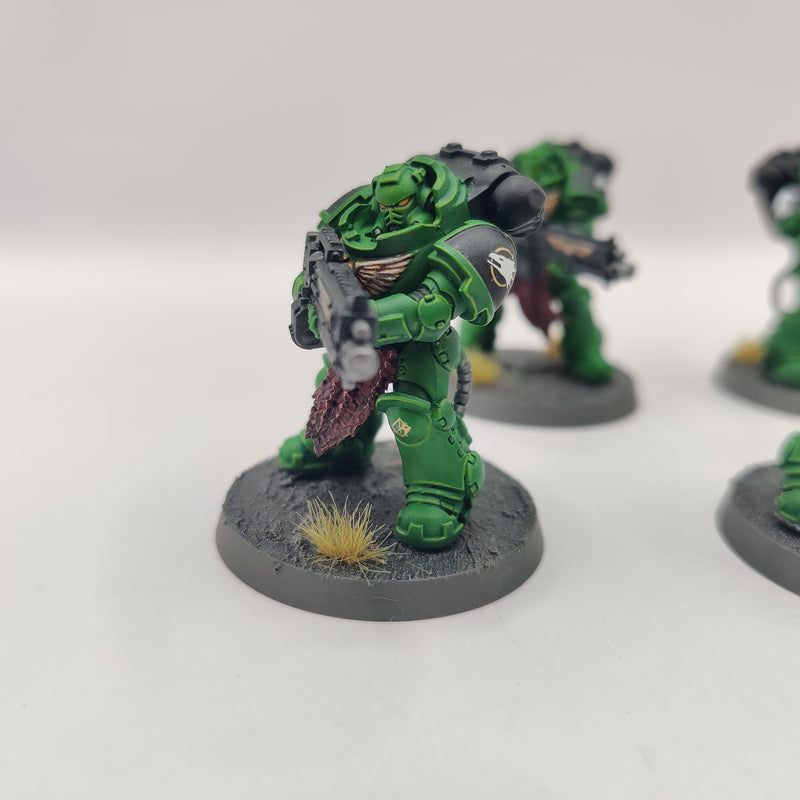 Warhammer 40k Salamanders Heavy Intercessors - Well Painted AE127