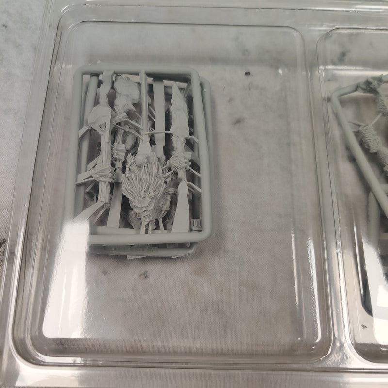 Warhammer Age of Sigmar Ogor Mawtribes Icefall Yhetees - In Box BD341