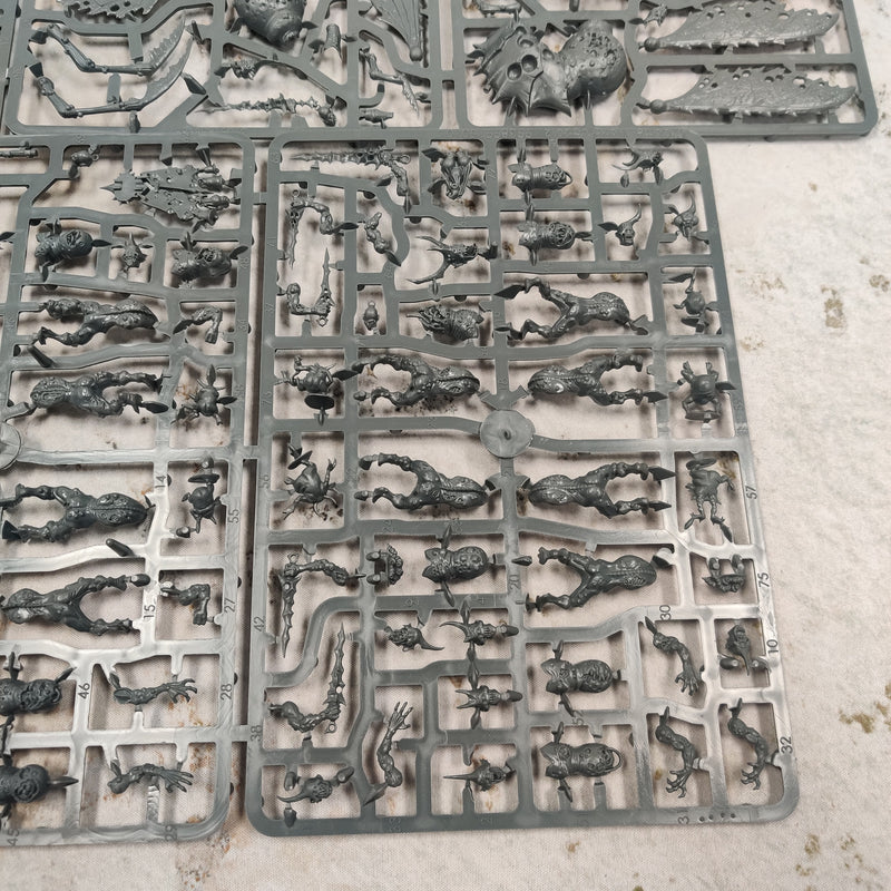 Warhammer Age of Sigmar Start Collecting Daemons of Nurgle - no Nurglings BD349