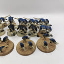 Warhammer 40k Tyranid Termagants x12 and Ripper Swarms x4 BH042
