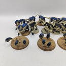Warhammer 40k Tyranid Termagants x12 and Ripper Swarms x4 BH042