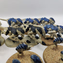 Warhammer 40k Tyranid Termagants x12 and Ripper Swarms x4 BH042