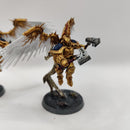 Warhammer Age of Sigmar Stormcast Eternals Prosecutors with Hammers - Painted AU027