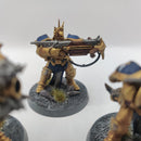 Warhammer Age of Sigmar Stormcast Eternals Judicators - Painted BH004