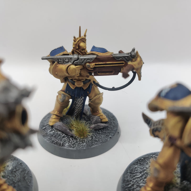 Warhammer Age of Sigmar Stormcast Eternals Judicators - Painted BH004