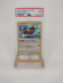 Pokemon Holo Bibarel