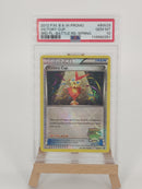 Pokemon Holo Victory Cup 3rd Place