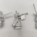 Warhammer The Old World Vampire Counts Grave Guard Command - Missing Banner BC045