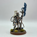Warhammer 40k: Necrons Overlord - Well Painted (AJ117)