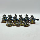 Warhammer 40k: Necrons Warriors - Well Painted (BI166)