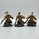Warhammer 40k: Adeptus Custodes Allarus Terminators - Well Painted (BH093)