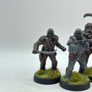 Star Wars Legion: Rebel Wookie Warriors and Chewbacca (BJ010)