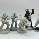 Star Wars Legion: Grand Army of the Republic Wookie Warriors (AH096)