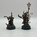 Warhammer Age of Sigmar: Skaven Grey Seer and Warlock Engineer - Painted (AW003)