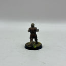 Warhammer Lord of the Rings: Personalities of Bree - Painted (BC129)