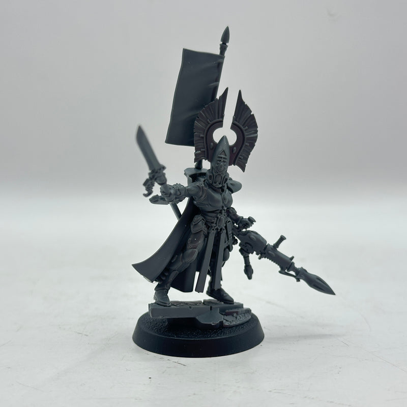 Warhammer 40k: Aeldari Eldar Autarch (BA005)