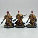Warhammer 40k: Adeptus Custodes Allarus Terminators - Well Painted (BJ041)