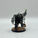 Warhammer 40k: Adeptus Custodes Shield Captain (BJ143)