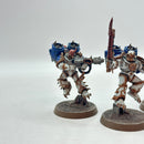 Warhammer 40k: World Eaters Raptors - Well Painted (BJ088)