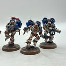 Warhammer 40k: World Eaters Raptors - Well Painted (BJ088)
