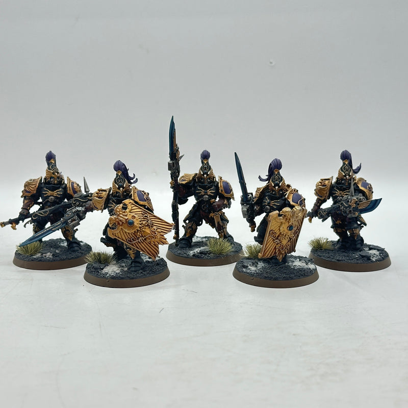 Warhammer 40k: Adeptus Custodes Custodian Guard - Well Painted (BJ006)