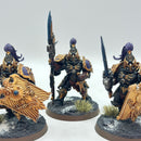 Warhammer 40k: Adeptus Custodes Custodian Guard - Well Painted (BJ006)