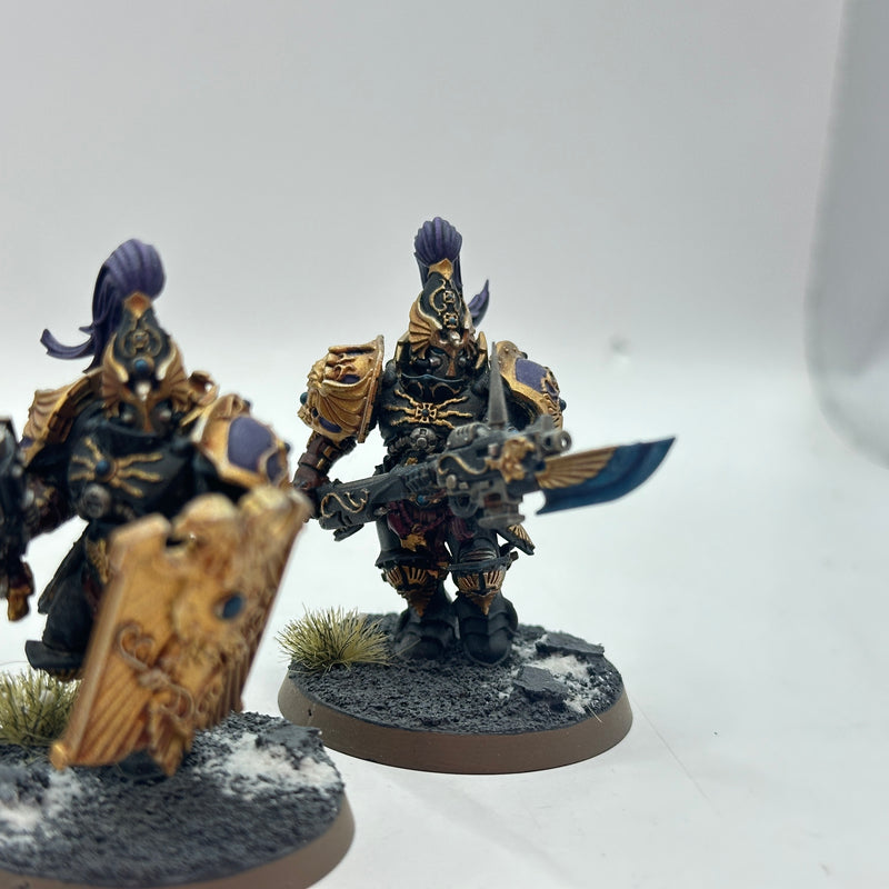 Warhammer 40k: Adeptus Custodes Custodian Guard - Well Painted (BJ006)