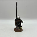 Warhammer Age of Sigmar: Slaves to Darkness Chaos Lord - Well Painted (BH146)