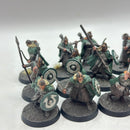 Warhammer Lord of the Rings: Warriors of Rohan - Painted (AD139)
