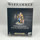 Warhammer Age of Sigmar: Stormcast Eternals Sylas Beastbane (BM115)