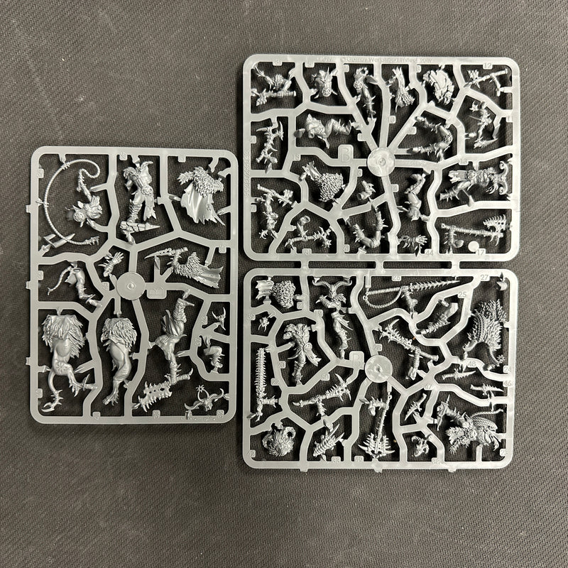 Warhammer Age of Sigmar: Warcry 1st Edition Starter Set - Opened (BM169)