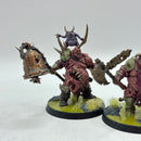 Warhammer Age of Sigmar: Maggotkin of Nurgle Putrid Blightkings - Well Painted (AW136)