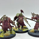 Warhammer Age of Sigmar: Maggotkin of Nurgle Putrid Blightkings - Well Painted (AW136)