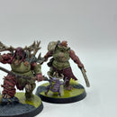 Warhammer Age of Sigmar: Maggotkin of Nurgle Putrid Blightkings - Well Painted (AW136)