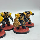 Warhammer Horus Heresy: Space Marines Imperial Fists Cataphractii with Shields (BJ050)